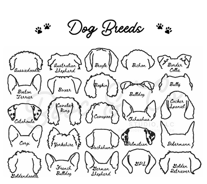 Dog Ears Sweatshirt