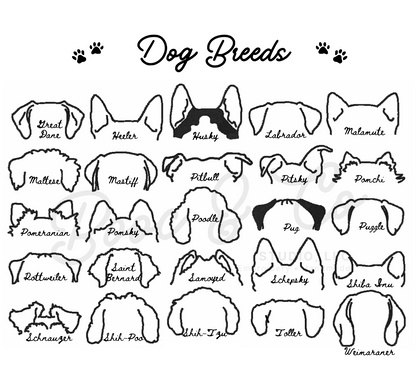 Dog Ears Sweatshirt